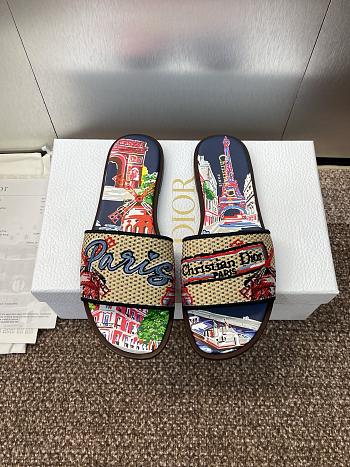 Dior Souvenir Dway Slide Natural Raffia Blue