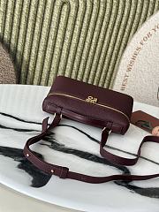 Loro Piana L19 Bag Red Wine Gold 19x11x6.5cm - 5
