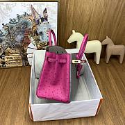 Hermes Birkin 25 Bag Grey Pink Gold Ostrich 25cm - 6