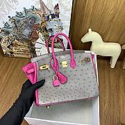 Hermes Birkin 25 Bag Grey Pink Gold Ostrich 25cm - 4