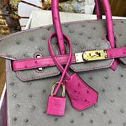 Hermes Birkin 25 Bag Grey Pink Gold Ostrich 25cm - 3