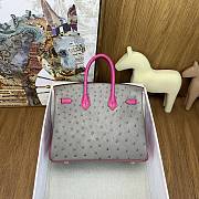 Hermes Birkin 25 Bag Grey Pink Gold Ostrich 25cm - 2