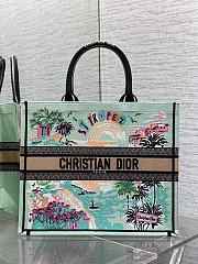 Dior Souvenir Large Dior Book Tote Natural Raffia 42cm - 1