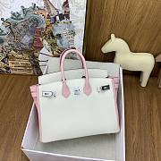 Hermes Birkin 25 Bag White Pink Silver Togo 25cm - 4