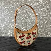 Valentino Vlogo Mini Hobo Bag Raffia Cherryfic 20x12x4cm - 5