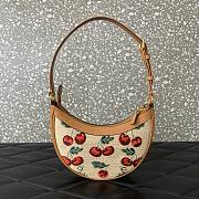 Valentino Vlogo Mini Hobo Bag Raffia Cherryfic 20x12x4cm - 3