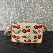 Valentino Raffia Cherry Mini Bag 20x12x5cm - 3