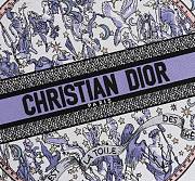 Dior Lucky Large Book Tote White and Blue 41.5x34.5x16cm - 4