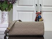 Louis Vuitton LV Avenue PM Bag Grey 30x19.5x12cm - 5