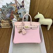 Hermes Birkin 25 Togo Crocodile Pink Gold 25cm - 1