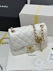 Chanel 25B Flap Bag White Lambskin Gold 18x13.5x7cm - 6