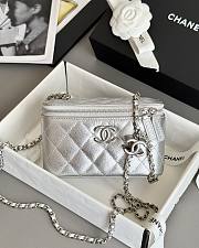 Chanel Vanity Case Silver Caviar 17x9.5x8cm - 1