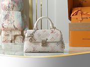 Louis Vuitton Nano Madeleine bag M25596 21x12.5x 6 cm - 1