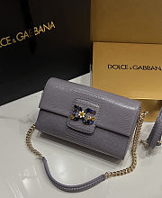 Dolce & Gabbana DG Millennials shoulder bag 25x13x7.5 - 1