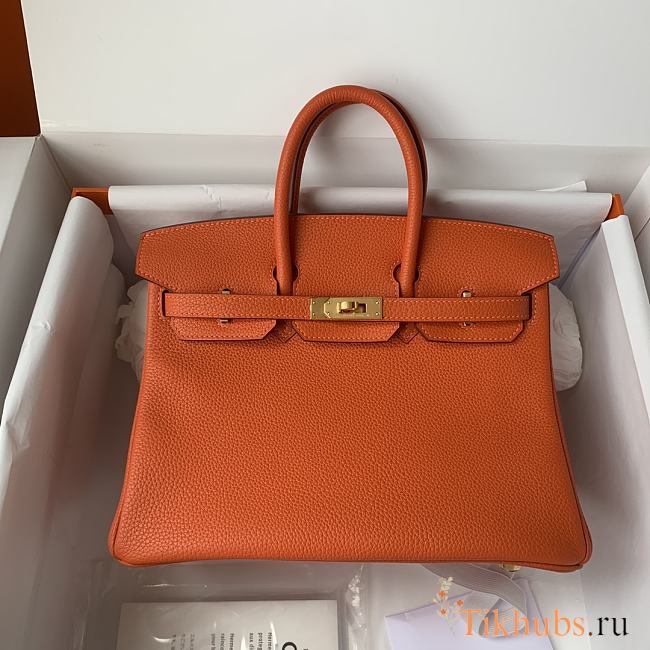Hermès Birkin bag in Terre Battue Togo leather with gold hardware 25cm - 1