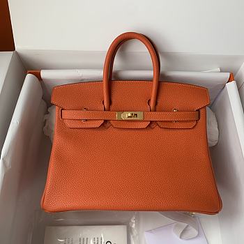 Hermès Birkin bag in Terre Battue Togo leather with gold hardware 25cm