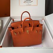 Hermès Birkin bag in Terre Battue Togo leather with gold hardware 25cm - 6