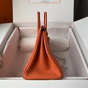 Hermès Birkin bag in Terre Battue Togo leather with gold hardware 25cm - 5