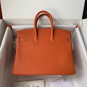 Hermès Birkin bag in Terre Battue Togo leather with gold hardware 25cm - 4