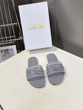 Christian Dior Dway slides in gray