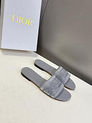Christian Dior Dway slides in gray - 5