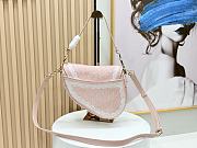 Dior Saddle bag featuring a 