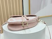 Dior Saddle bag featuring a 