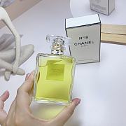 Chanel No. 19 Eau de Parfum Classic 100ml - 2