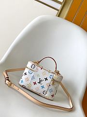 Louis Vuitton x Takashi Murakami Vanity Chain Pouch in white Monogram Multicolore 11.5 x 6.5 x 19  - 6