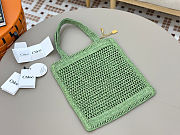 Chloe Summer Banana logsdetail Raffia Tote Green Bag 33*37*2cm - 5