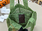 Chloe Summer Banana logsdetail Raffia Tote Green Bag 33*37*2cm - 3