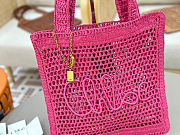 Chloe Summer Banana logsdetail Raffia Tote Pink Bag 33*37*2cm - 2