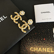 Chanel Earrings 84 - 2