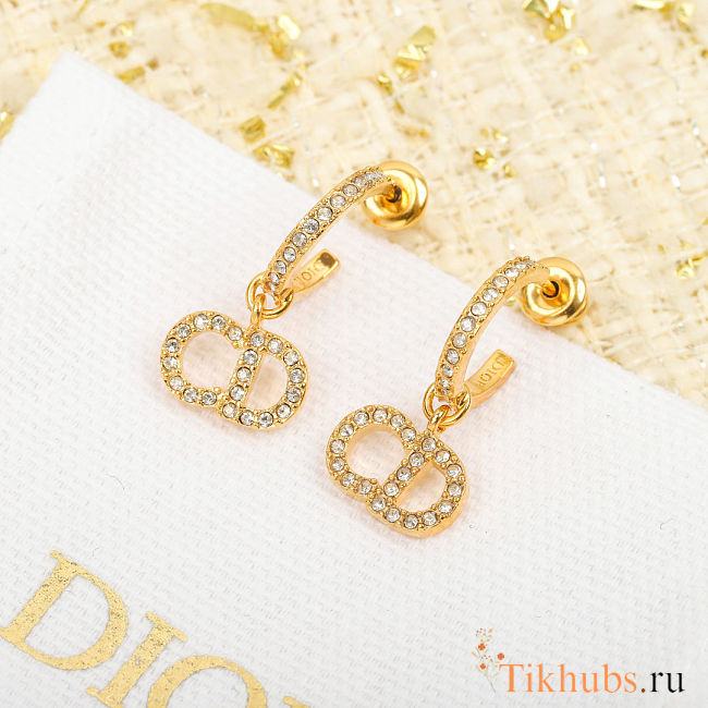Dior Clair D Lune Earrings - 1