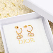 Dior Clair D Lune Earrings - 5