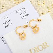Dior Clair D Lune Earrings - 3
