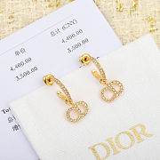 Dior Clair D Lune Earrings - 4