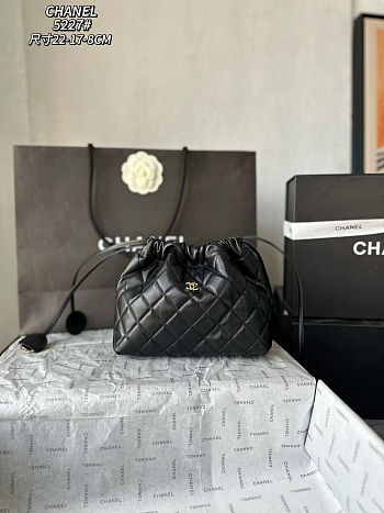 Chanel Clutch with Leather Strap 17x22x8cm