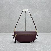 Celine Little Halfmoon Soft Triomphe in Supple Shiny Lambskin 25x13x5cm - 2