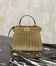 Fendi Peekaboo ISeeU interlaced leather Small 20x15.5x11cm - 1
