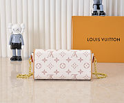 Louis Vuitton Pochette Camille Dune Bag 20.5x11.0x6.0cm - 6