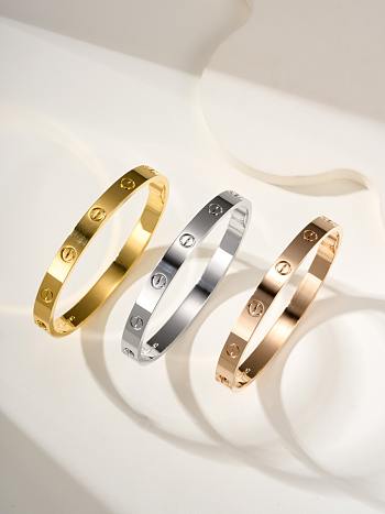 Cartier Bracelet Single Screw Silver 6.1mm