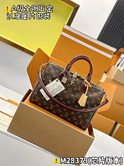 Louis Vuitton Speedy 30 Soft Celebration 30 x 21 x 17 cm - 1