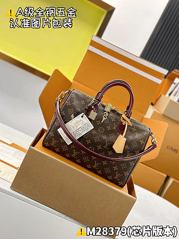 Louis Vuitton Speedy 30 Soft Celebration 30 x 21 x 17 cm