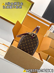 Louis Vuitton Speedy 30 Soft Celebration 30 x 21 x 17 cm - 3