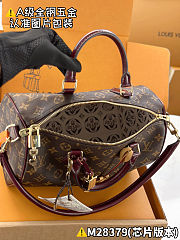 Louis Vuitton Speedy 30 Soft Celebration 30 x 21 x 17 cm - 2