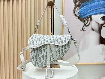 Dior Saddle Bag in latte and gray Dior Oblique jacquard