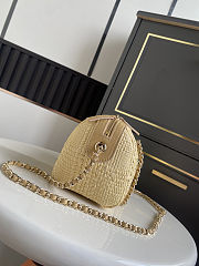 Chanel Clutch classic Raffia Woven Camera Bag 11.5x18.5x11cm - 6