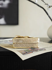 Chanel Minaudiere 2.55 Mini Silver Bag - 5