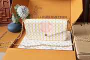 Louis Vuitton Pochette Félicie  21 x 12 x 3 cm - 1